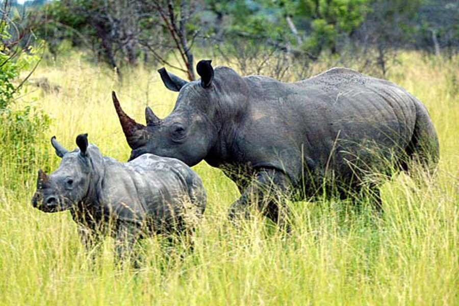 Serengeti National Park