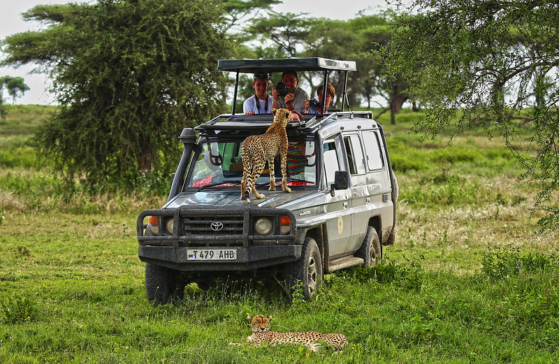 4 Best Things To Do In Tanzania For First-Time Visitors