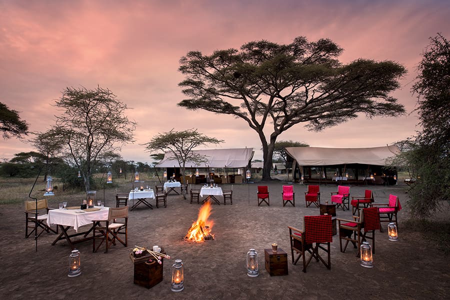 Travel Guide To Serengeti National Park