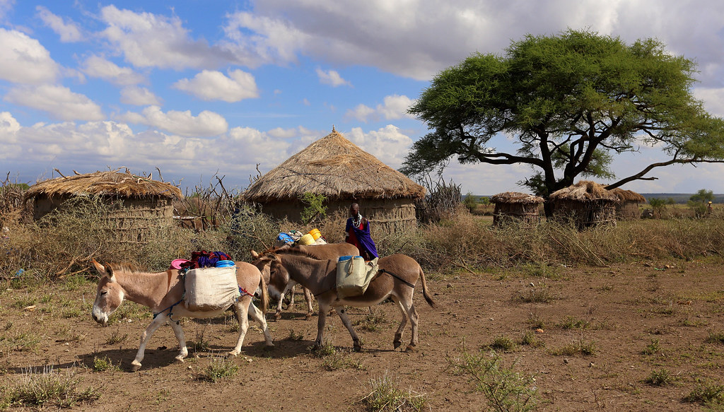 5 Top Reasons to Visit Tanzania in 2026