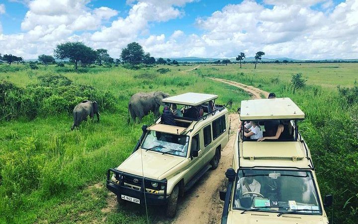 What Is Unique About Mikumi National Park?