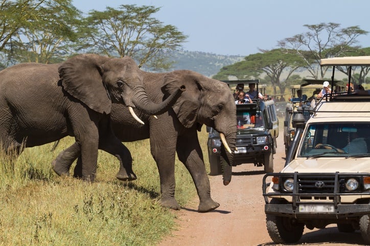 Is it better to visit Kenya or Tanzania?