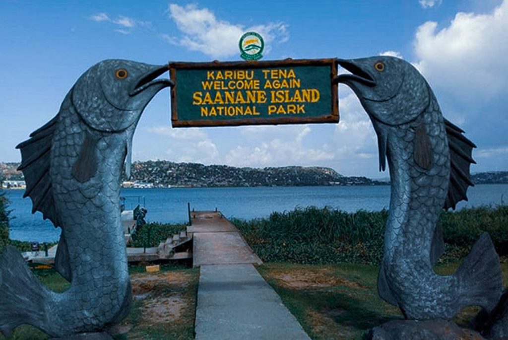 A Day Trip to Saanane Island National Park.