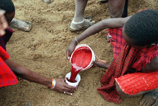 9 Little Known Facts About the Maasai 